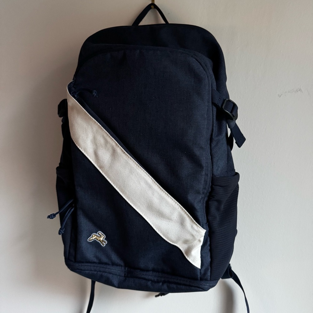 Navy and White Backpack
